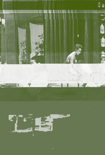 378 EC l 005 05